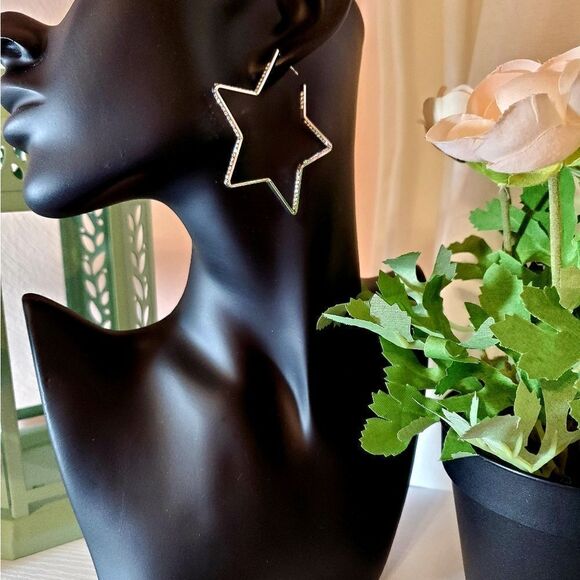 𝅺star Silvertone Hoop Earrings - Picture 1 of 12